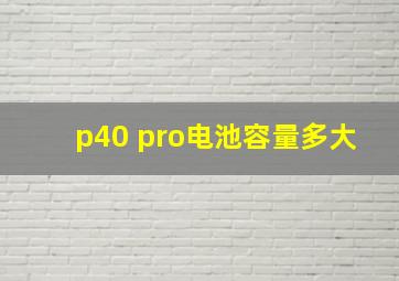 p40 pro电池容量多大